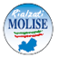 RIALZATI MOLISE